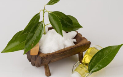 WHY IS CAMPHOR SO POPULAR IN COSMETICS?