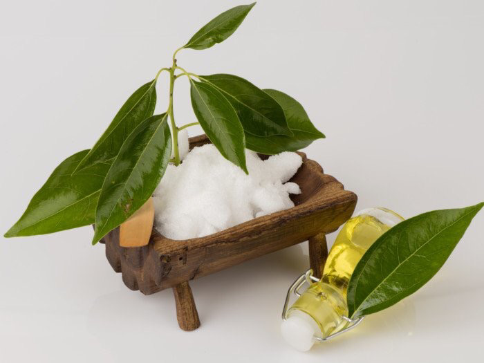 WHY IS CAMPHOR SO POPULAR IN COSMETICS?